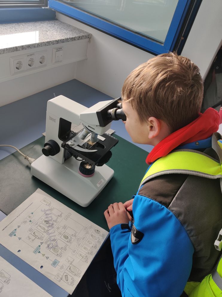 Schüler beim Mikroskopieren 